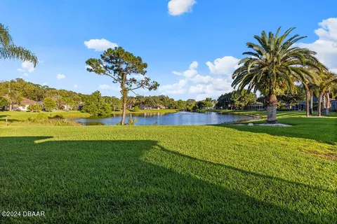 View/Area - 30 Creek Bluff Way, Ormond Beach, FL 32174 photo 4 of 9