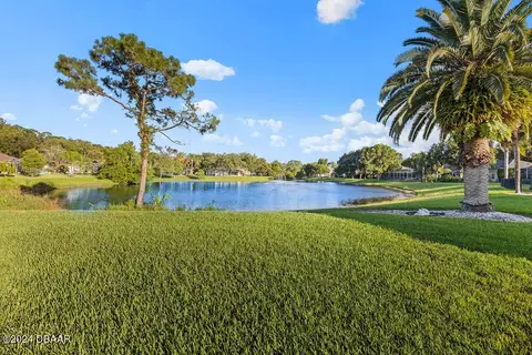 View/Area - 30 Creek Bluff Way, Ormond Beach, FL 32174 photo 5 of 9