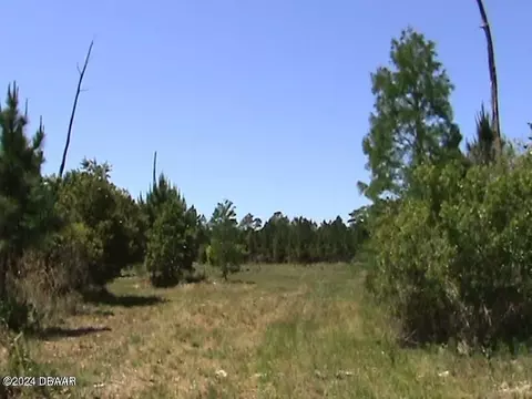 3600 Fl-40, Ormond Beach, FL 32174 photo 7