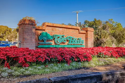 202 Pine Cone Trl, Ormond Beach, FL 32174 photo 41