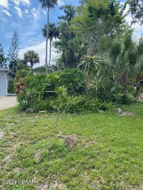 Exterior - 2521 Mango Tree Dr, Edgewater, FL 32141 photo 5 of 7