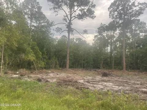 217 Paradise Blvd, Georgetown, FL 32139