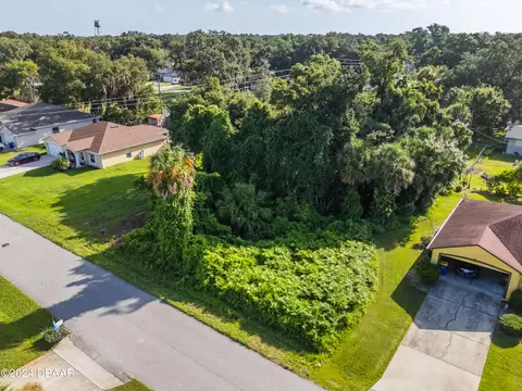0 Pine Tree Dr, Edgewater, FL 32141 photo 9