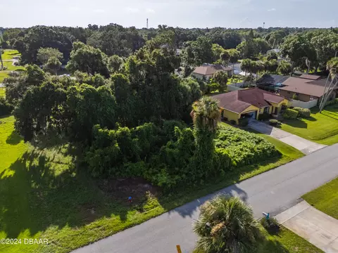 0 Pine Tree Dr, Edgewater, FL 32141 photo 13