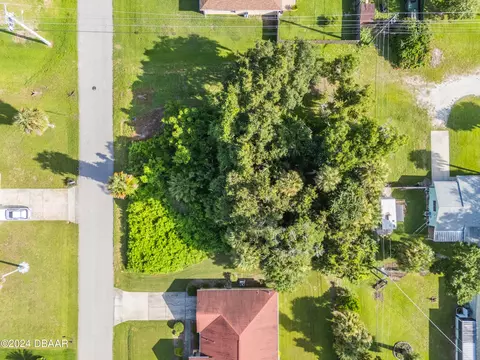 0 Pine Tree Dr, Edgewater, FL 32141 photo 3
