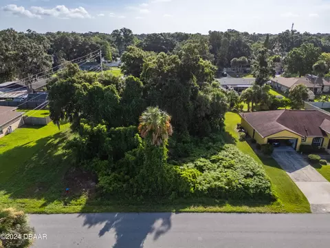 0 Pine Tree Dr, Edgewater, FL 32141 photo 12