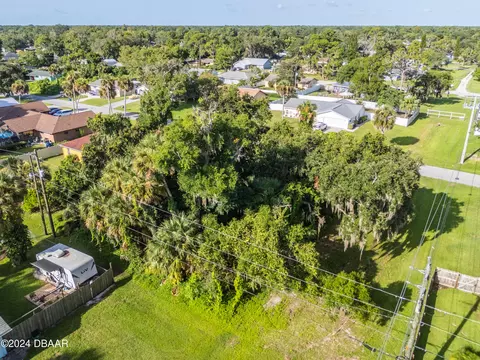 0 Pine Tree Dr, Edgewater, FL 32141 photo 8