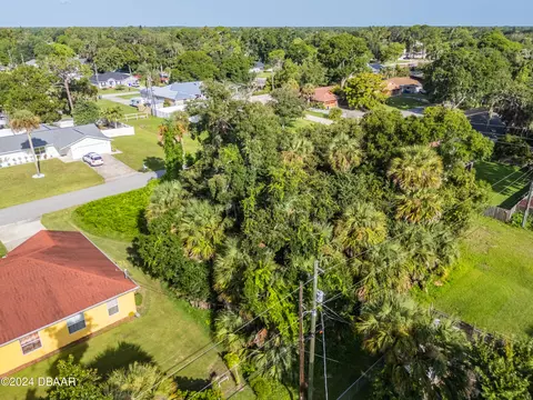 0 Pine Tree Dr, Edgewater, FL 32141 photo 7