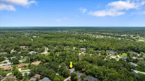 View/Area - 41 Forest View Way, Ormond Beach, FL 32174 photo 4 of 10