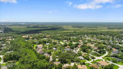 View/Area - 41 Forest View Way, Ormond Beach, FL 32174 photo 9 of 10