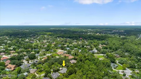 View/Area - 41 Forest View Way, Ormond Beach, FL 32174 photo 7 of 10