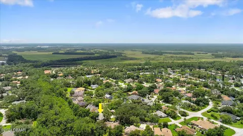 View/Area - 41 Forest View Way, Ormond Beach, FL 32174 photo 8 of 10