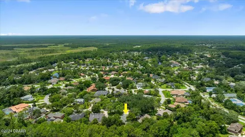 View/Area - 41 Forest View Way, Ormond Beach, FL 32174 photo 6 of 10
