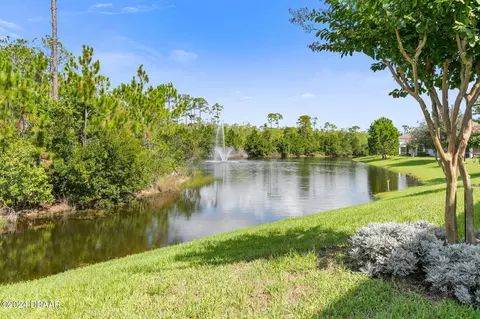 View/Area - 807 Aldenham Ln, Ormond Beach, FL 32174 photo 3 of 14