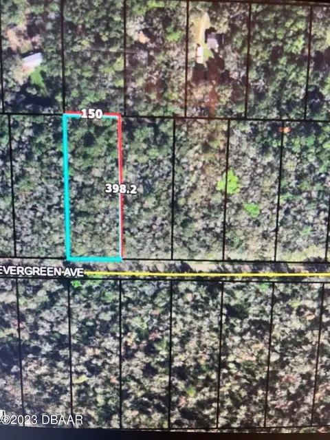 3684 Evergreen Ave, Bunnell, FL 32110
