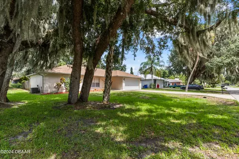 3031 Mango Tree Dr, Edgewater, FL 32141 photo 2