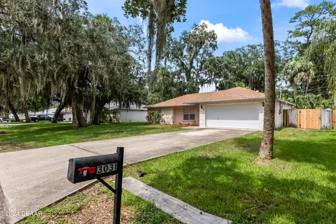 3031 Mango Tree Dr, Edgewater, FL 32141 photo 3