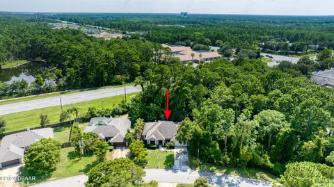 View/Area - 20 Coquina Point Dr, Ormond Beach, FL 32174 photo 1 of 13