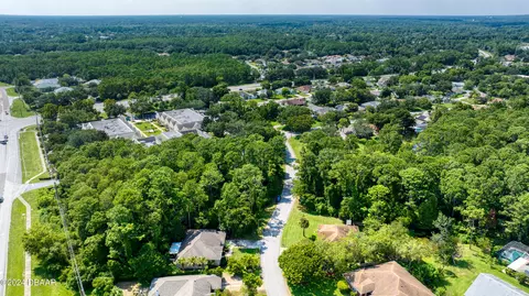 View/Area - 20 Coquina Point Dr, Ormond Beach, FL 32174 photo 4 of 13