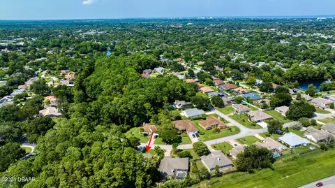 View/Area - 20 Coquina Point Dr, Ormond Beach, FL 32174 photo 6 of 13