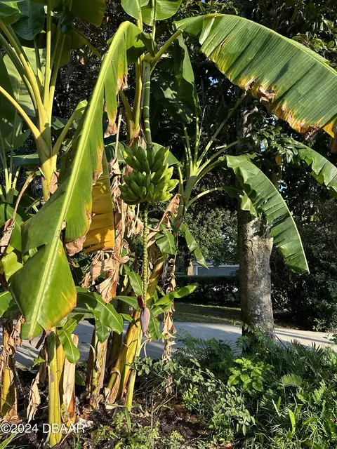 Other - 15 Fernery Trl, Ormond Beach, FL 32174 photo 14 of 19
