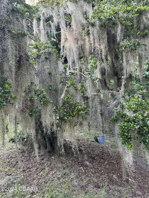 Other - 15 Fernery Trl, Ormond Beach, FL 32174 photo 13 of 19