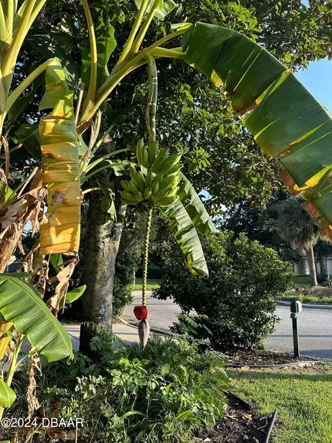 Other - 15 Fernery Trl, Ormond Beach, FL 32174 photo 15 of 19