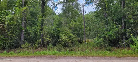 2828 Forest Park St, Bunnell, FL 32110