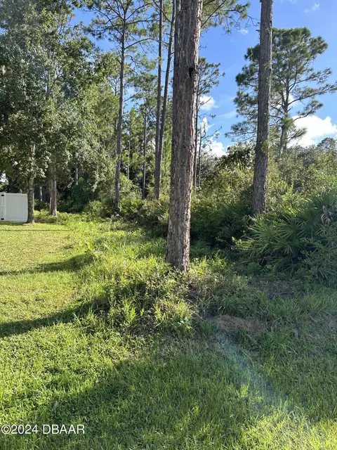 19 Slumber Meadow Trl, Palm Coast, FL 32164