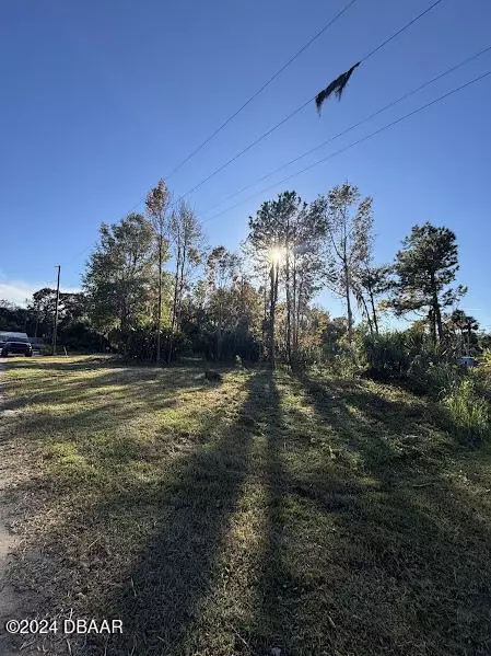 lot3 NE 307 Ct, Salt Springs, FL 32134