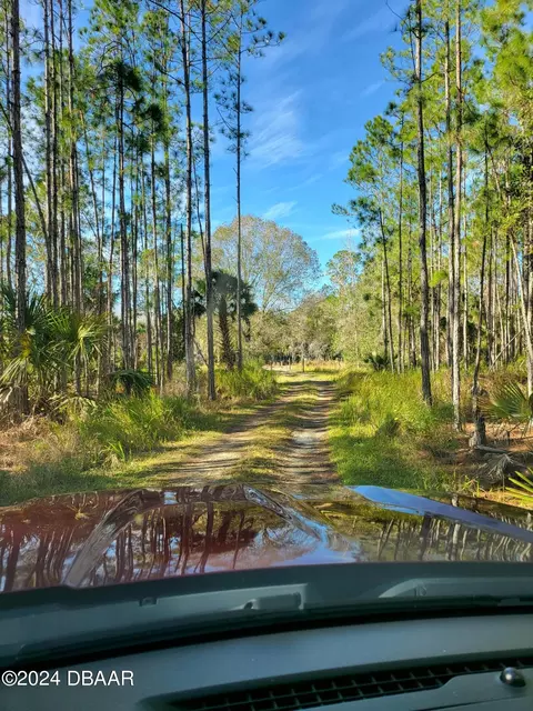 0 Hunting Camp Rd, New Smyrna Beach, FL 32168