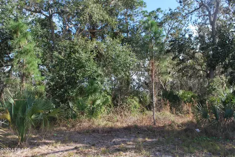 0 S Ridgewood Ave, Edgewater, FL 32141
