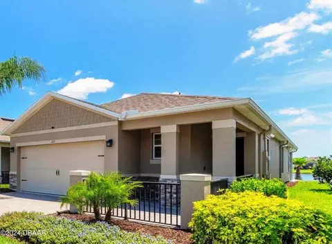 217 Caryota Ct, New Smyrna Beach, FL 32168