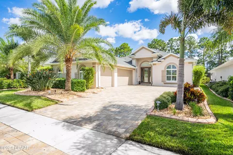 3043 Borassus Dr, New Smyrna Beach, FL 32168