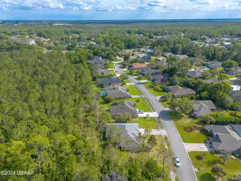 View/Area - 45 Hunt Master Ct, Ormond Beach, FL 32174 photo 8 of 12