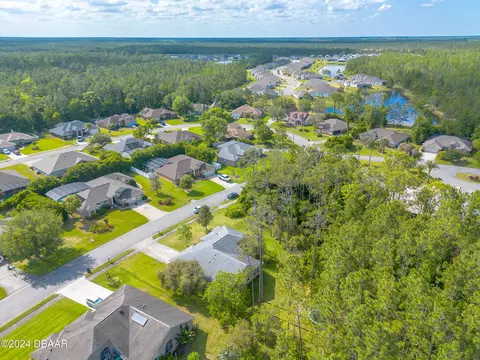 View/Area - 45 Hunt Master Ct, Ormond Beach, FL 32174 photo 5 of 12