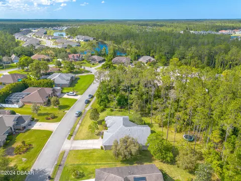 View/Area - 45 Hunt Master Ct, Ormond Beach, FL 32174 photo 4 of 12