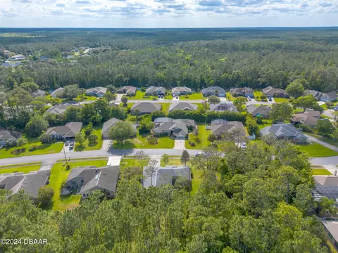 View/Area - 45 Hunt Master Ct, Ormond Beach, FL 32174 photo 6 of 12