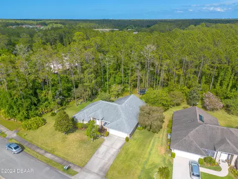 View/Area - 45 Hunt Master Ct, Ormond Beach, FL 32174 photo 3 of 12