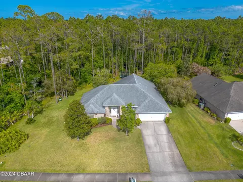 View/Area - 45 Hunt Master Ct, Ormond Beach, FL 32174 photo 2 of 12