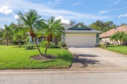 60 Old Wiggins Ln, Ormond Beach, FL 32174