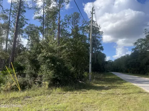 194 Whispering Pines Dr Rd, Georgetown, FL 32139