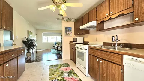 49 River Shore Dr, Ormond Beach, FL 32176 photo 23