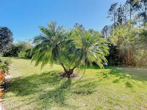 1446 Carlow Cir, Ormond Beach, FL 32174 photo 43