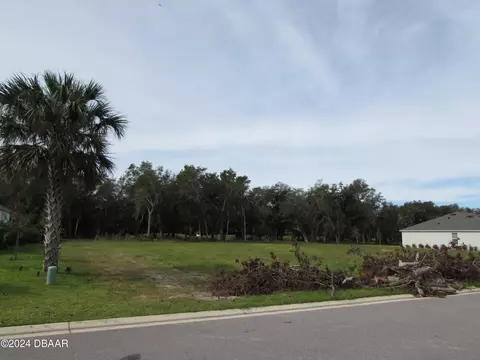 3134 Silvermines Ave, Ormond Beach, FL 32174 photo 2