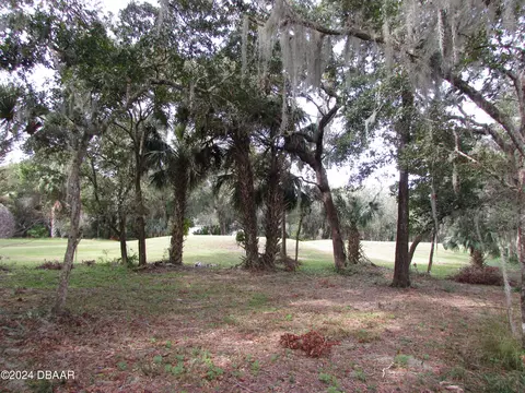 3134 Silvermines Ave, Ormond Beach, FL 32174 photo 4