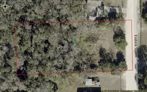308 Endora St, Ormond Beach, FL 32174