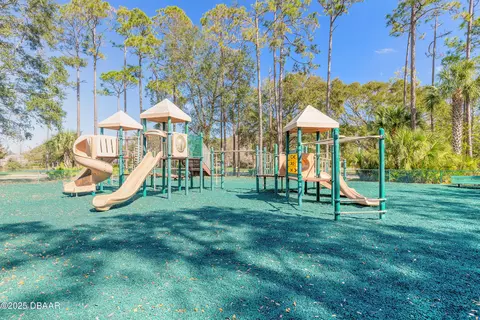 View/Area - 6 Wild Creek Way, Ormond Beach, FL 32174 photo 5 of 9