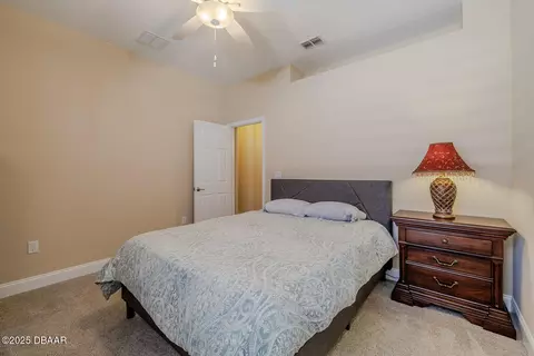 3171 Connemara Dr, Ormond Beach, FL 32174 photo 23