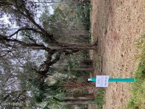 0 Shell Harbor Rd, Pierson, FL 32180